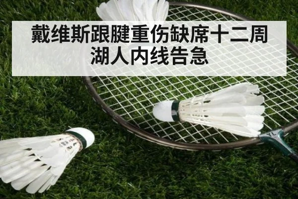 戴维斯跟腱重伤缺席十二周 湖人内线告急